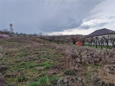 RECO Teren intravilan in Oncea, str. Prunilor - foto 2