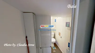 INCHIRIERE GARSONIERA - UNIRII GLADIOLELOR - foto 17