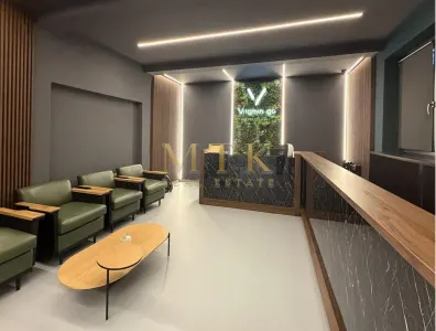 Vila moderna renovata complet | Clinica medicala la cheie | D+P+1E+M | AVIATORILOR - Bucuresti
