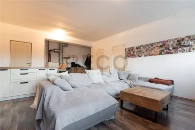 RECO Apartament la casa curte proprie  , Paleu - foto 3