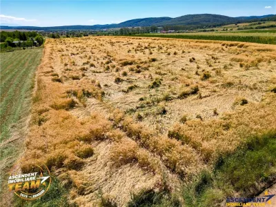 FILM! Teren extravilan, Valea Crisului, Covasna - foto 3