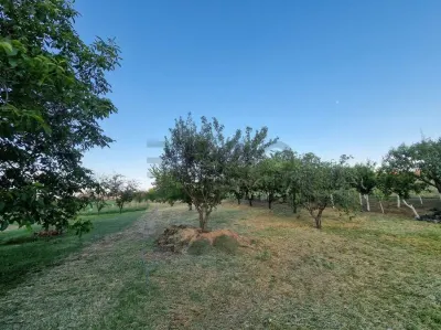 RECO Proprietate cu 2 case si teren mare in Girisu de Cris - foto 7