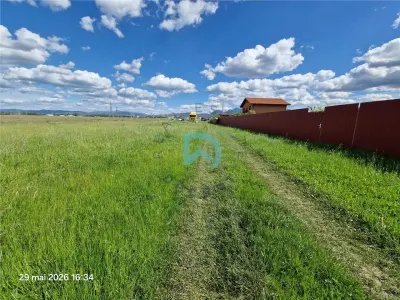 Teren intravilan, Sanpetru, 500 mp - foto 6