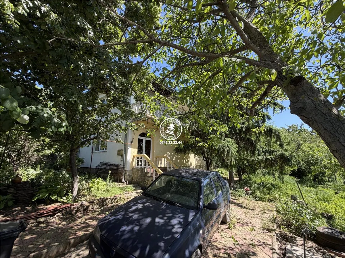 Case vile de vânzare Vișan Iași - foto 1