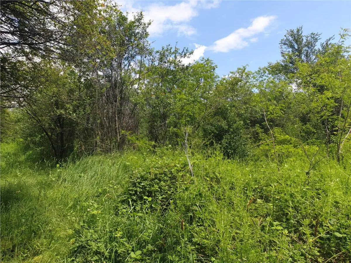 RECO Teren extravilan Episcopia Bihorului - foto 1