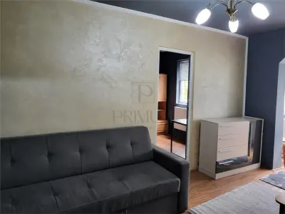 Take Ionescu, apartament 2 camere, centrala proprie, clima - foto 5