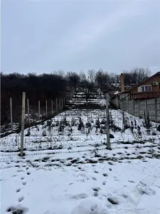 RECO teren intravilan Oradea - Oradea