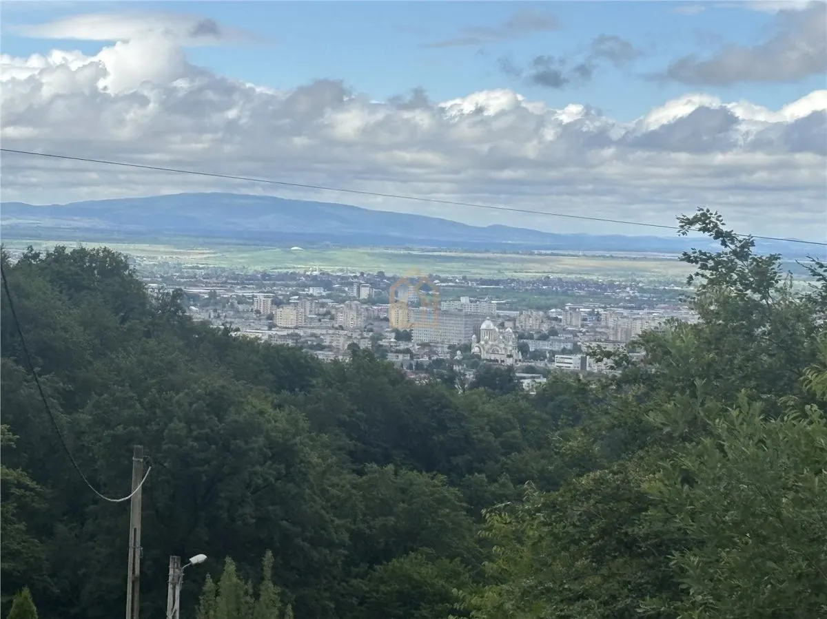 Vila de vanzare cu panorama deasupra orasului zona Parcul Regina Maria - foto 11