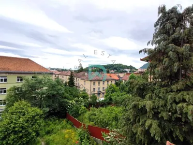 Casa singur in curte, zona  Brasovului Vechi - foto 3