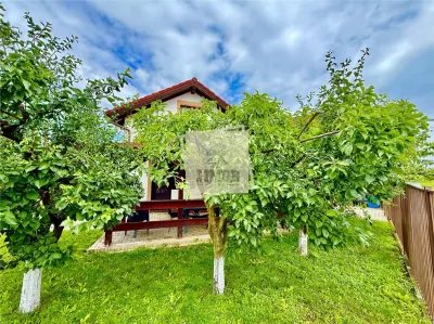 Casa single 5 camere teren 377 mp deschidere la 2 strazi Sibiu - foto 2