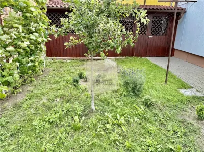 Casa single 5 camere teren 377 mp deschidere la 2 strazi Sibiu - foto 11