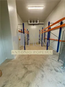 Spatii industriale, acces tir, in Valea Calugareasca, fostul Combinat - foto 17