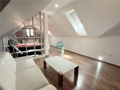 Vand casa cu 4 camere in zona semicentrala, 340mp utili si teren 510mp - foto 9