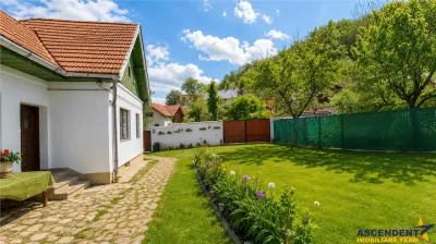 Casa sub aripa padurii, 1.750 teren roditor, Central, Sacele, Brasov - foto 3