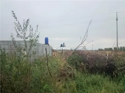 teren intravilan,  5000mp, Ciolpani - accept schimb - foto 3