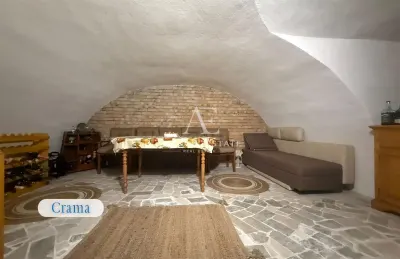 Proprietate cu crama, Ultracentral, casa de vanzare, Oradea, Bihor - foto 13