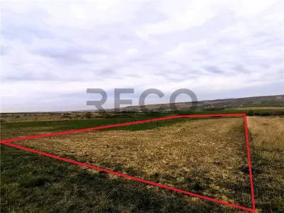 RECO Teren mare extravilan in Uileacu de Munte - Uileacu de Munte