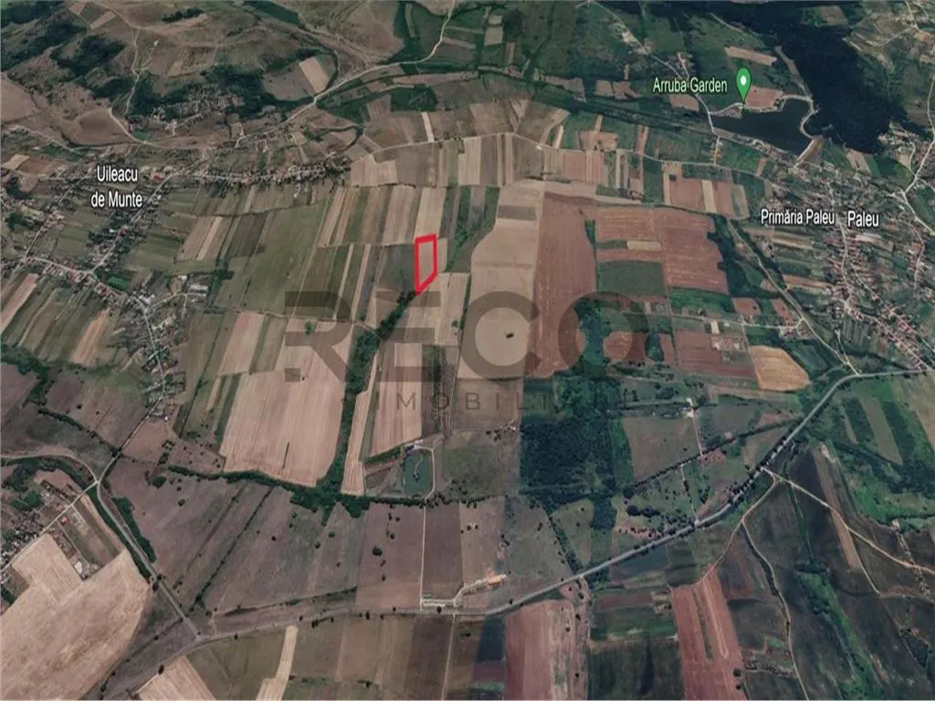 RECO Teren mare extravilan in Uileacu de Munte - foto 4