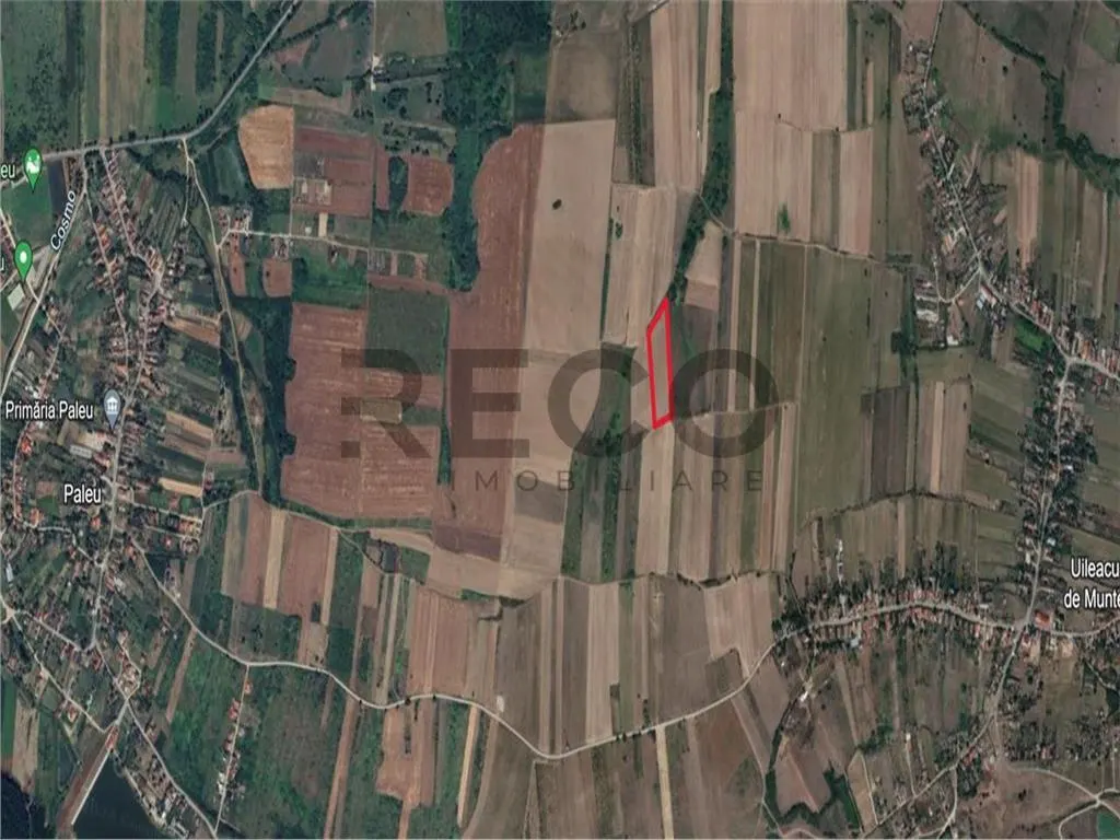 RECO Teren mare extravilan in Uileacu de Munte - foto 5