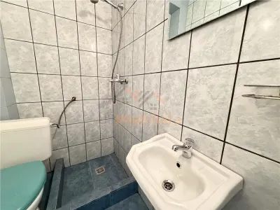 PENSIUNE 20 CAMERE | ZONA SANMARTIN | BIHOR | ACCES DIN E79 - foto 20