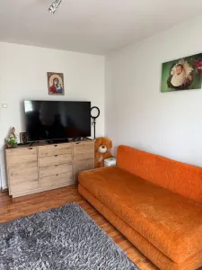 Apartament 2 camere etajul 2 Avram Iancu - foto 5