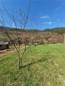 RECO Teren intravilan zona Bulz - foto 3
