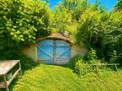Casa + teren 3000 mp Poiana Iasi - foto 10