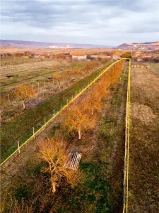 RECO Teren intravilan construbil 5342 mp-  sat.Hotar - foto 5