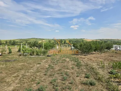 TEREN INTRAVILAN | 1000 MP | PALEU | BIHOR - foto 3
