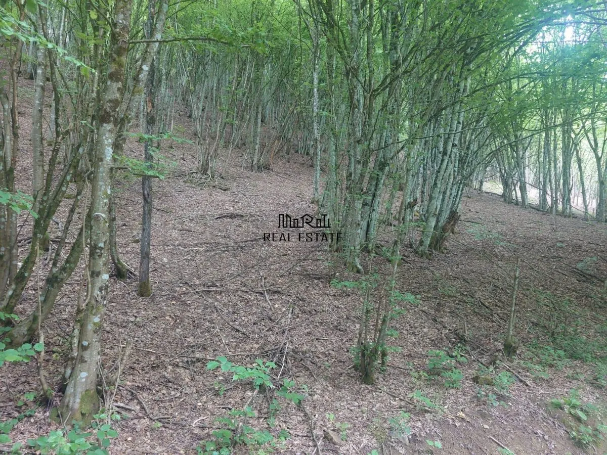 Teren in Bulzestii de Sus 2255mp - foto 1