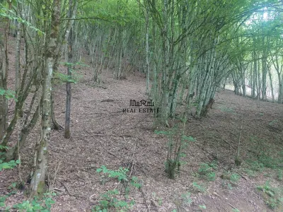 Teren in Bulzestii de Sus 3748mp - foto 2