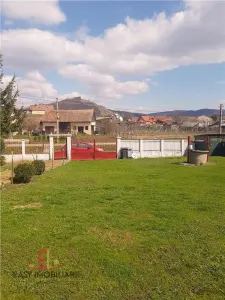 Casa de vanzare, Voiniceni, 10 arii, pivnita, 2 bucatarii, spre Unirii, Mures - foto 7