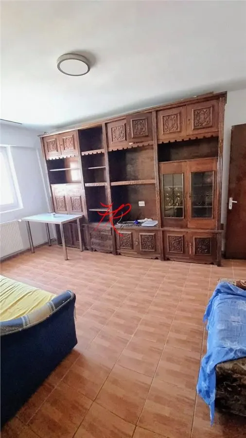 Vanzare apartament 2 camere Teiul Doamnei - foto 2