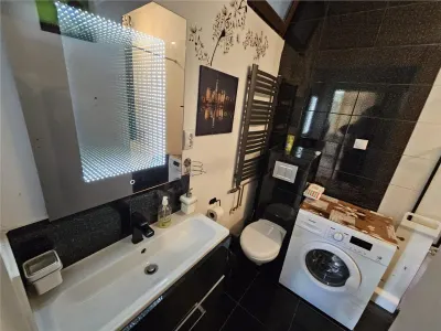 Investitie la cheie in zona centrala! 2 apartamente la casa, transformate in 3 unitati independente cu intrari separate – ideale pentru Airbnb - foto 20