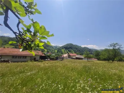 View superb:intravilan,constructie rezidenta/ hotel,2.327 mp,Moieciu de Jos, Bran - foto 16