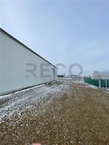 RECO hala cu teren in Osorhei - foto 2