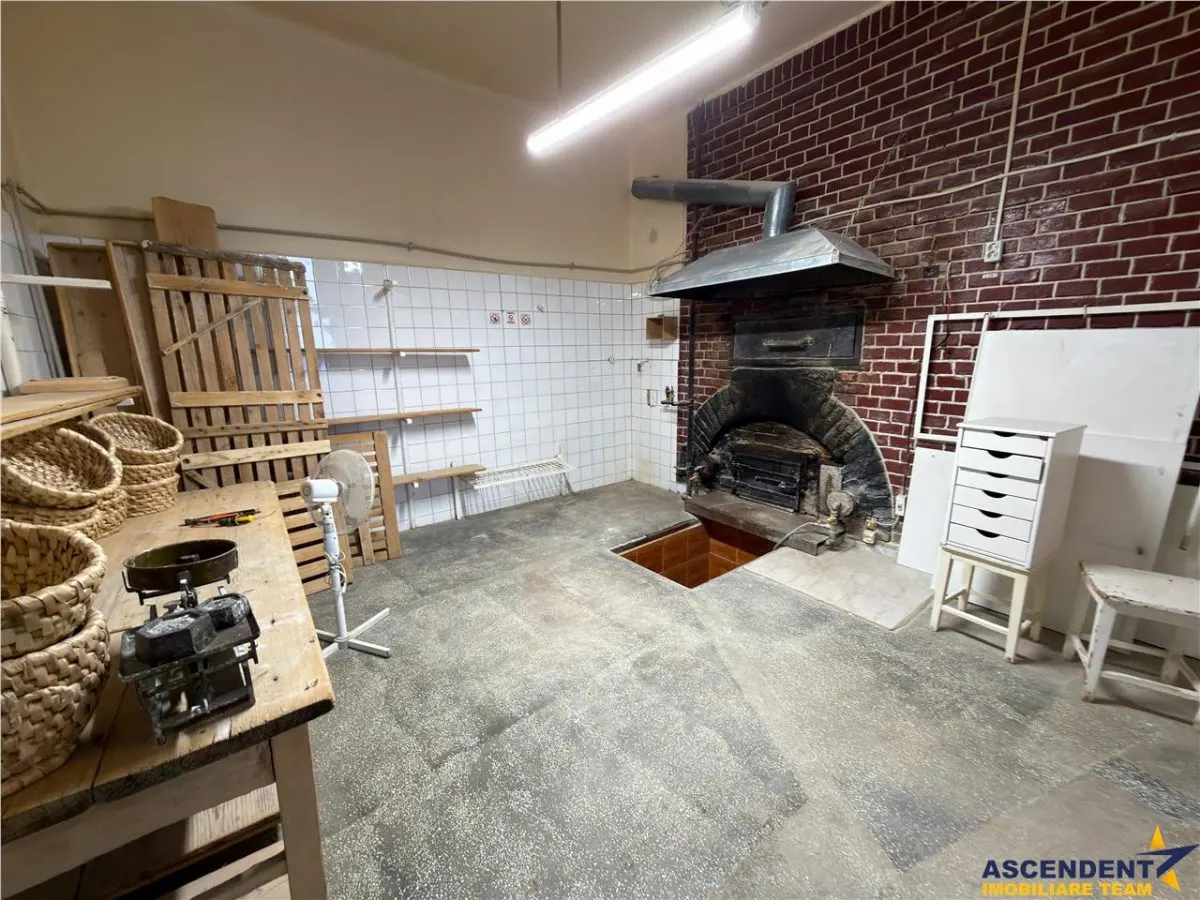 3D!Ansamblu casa+productie+comercial, 3 corpuri,acces stradal,Tudor,Targu Mures, potential ridicat. - foto 18