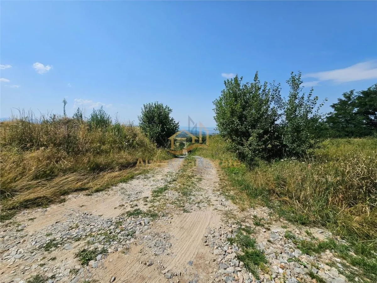 Alzza Real Estate – Teren intravilan de vanzare in Salicea, Cluj – 1170 mp cu PUZ aprobat - foto 2