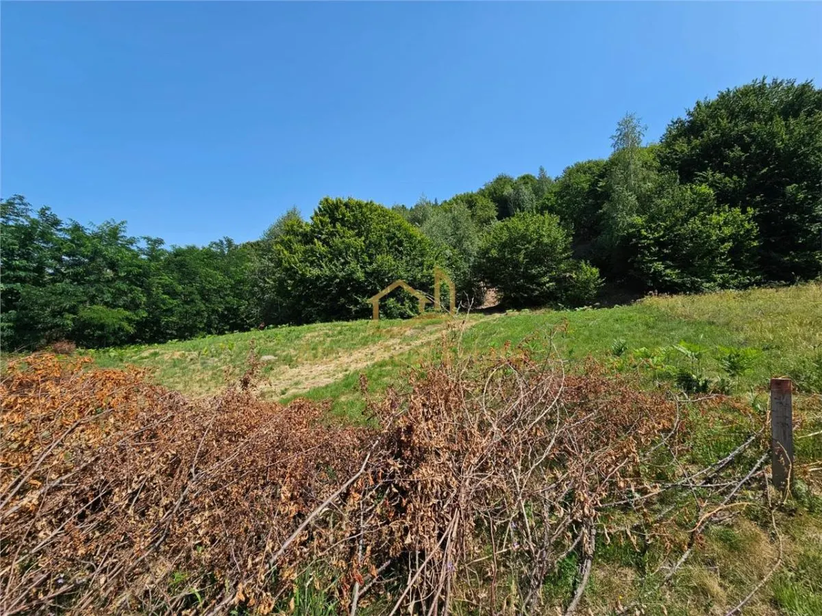 Alzza Real Estate – Teren intravilan de vanzare in Salicea, Cluj – 1170 mp cu PUZ aprobat - foto 3
