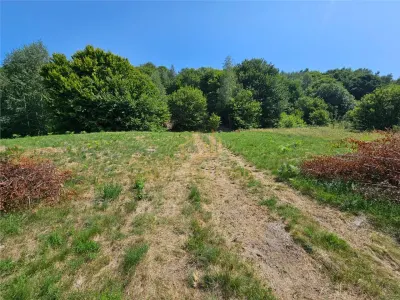 Alzza Real Estate – Teren intravilan de vanzare in Salicea, Cluj – 1170 mp cu PUZ aprobat - foto 4