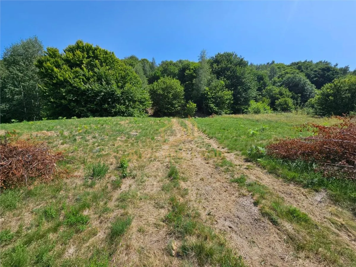 Alzza Real Estate – Teren intravilan de vanzare in Salicea, Cluj – 1170 mp cu PUZ aprobat - foto 4