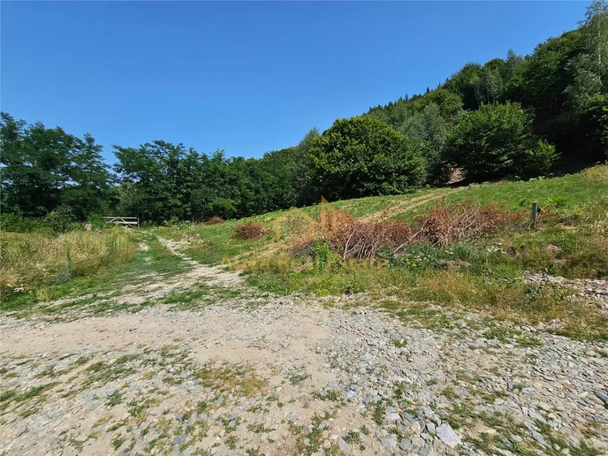 Alzza Real Estate – Teren intravilan de vanzare in Salicea, Cluj – 1170 mp cu PUZ aprobat - foto 5