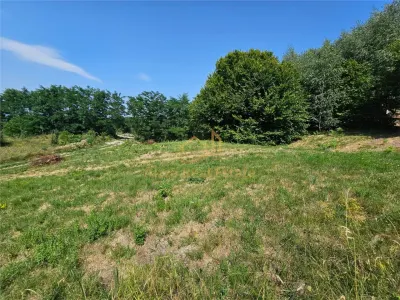Alzza Real Estate – Teren intravilan de vanzare in Salicea, Cluj – 1170 mp cu PUZ aprobat - foto 7