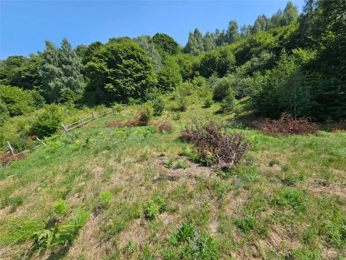 Alzza Real Estate – Teren intravilan de vanzare in Salicea, Cluj – 1170 mp cu PUZ aprobat - foto 8