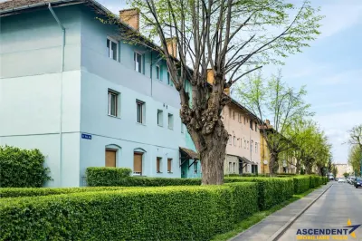 Imobil cu gradina verde, in ariere placuta, Tractorul, Brasov - foto 8