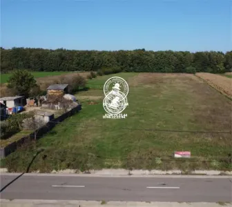 Teren langa padure - de vanzare in Poiana cu Cetate - Grajduri
