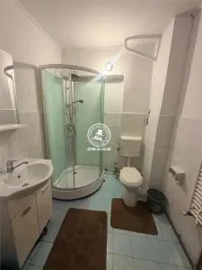 Apartament cu 3 camere decomandat de inchiriat zona Gara - foto 18