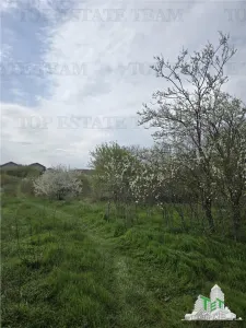 TEREN INTRAVILAN la 40 minute de Bucuresti - foto 5
