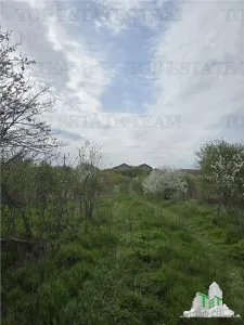 TEREN INTRAVILAN la 40 minute de Bucuresti - foto 7