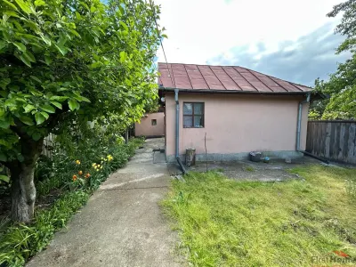 Casa parter de vanzare in comuna Vanatori, sat Mircestii Noi - foto 2